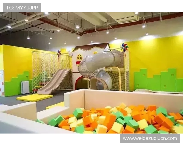 海星体育线上官网用户评价与使用体验分享与建议